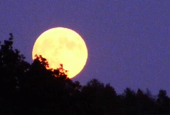 2009-08-btf-Mondaufgang u00fcber Odenwald