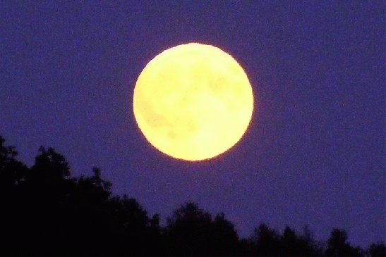 2009-08-btfa-Vollmond  u00fcber Odenwald