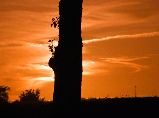 2009-08-hcclb-Sonnenuntergang - Odenwald