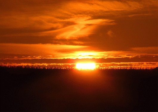 2009-08-hccna-Sonnenuntergang - Odenwald