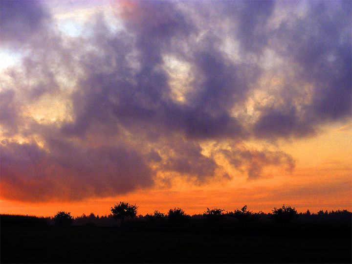 2009-08-hcco-sounnebelwolk-1