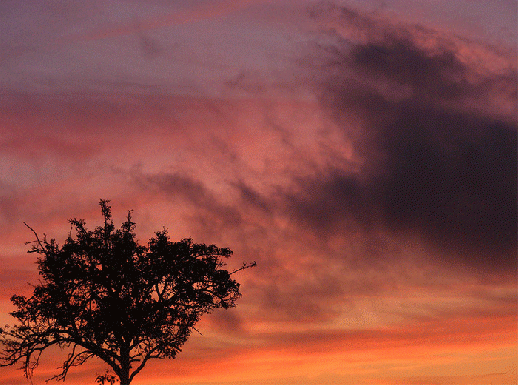 2009-08-hccsc-Sonnenuntergang - Odenwald