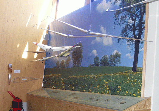 2009-08-hlk-Lippisch-Nurflügelmodelle - Segelflug-Museum Wasserkuppe