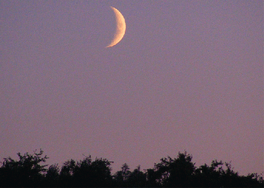 2009-08-hqb-Mondsichel-Untergang - Odenwald