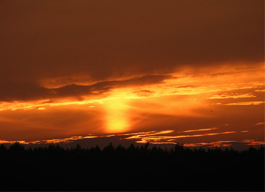 2009-08-idcb-Sonnenuntergang-Odenwald