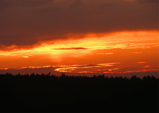 2009-08-idcc-Sonnenuntergang-Odenwald