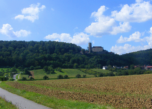 2009-08-ie-Burg Guttenberg am Neckar