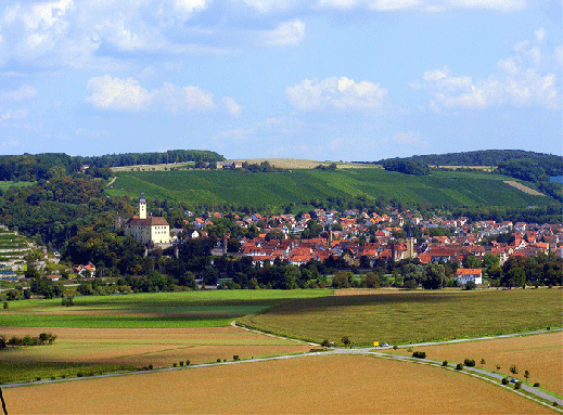 2009-08-ied-Burg Guttenberg-Blick auf das Neckartal