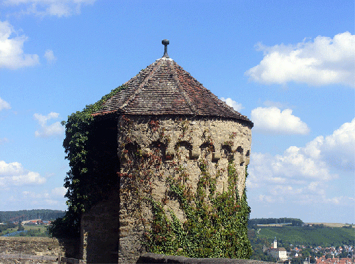 2009-08-iflc-Burg Guttenberg