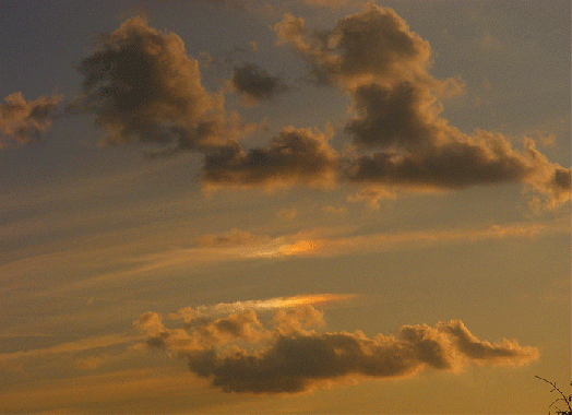 2009-08-jbfc-linke Nebensonne - Odenwald