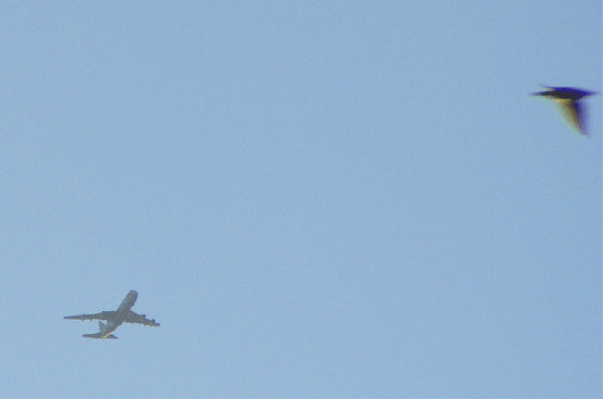 2009-08-jbffa-Überflieger-Flugverkehr