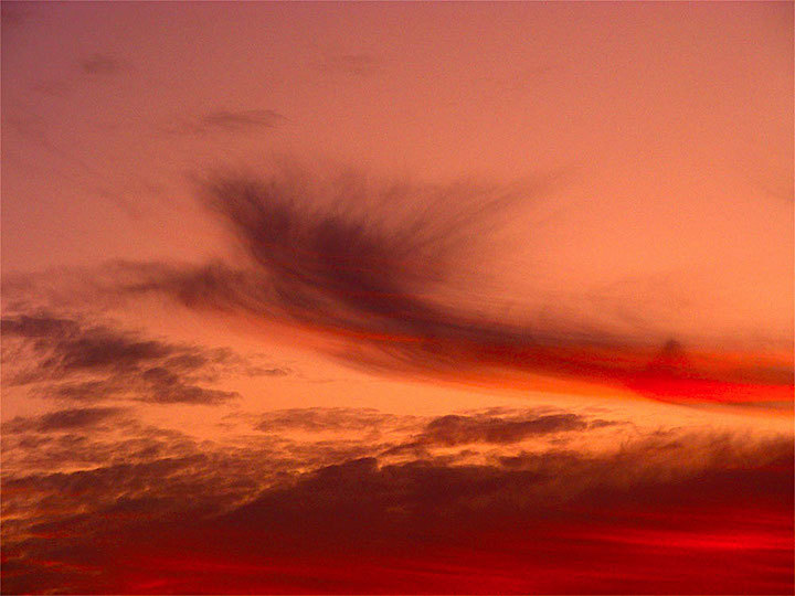 2009-09-ceb-feuervogelwolke-1