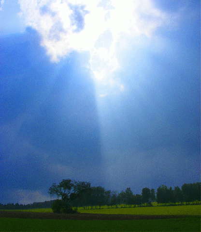 2009-09-eeb-Sonnenstrahlen - Hengmantel-Odenwald