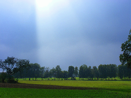 2009-09-eebb-Sonnenstrahlen - Hengmantel-Odenwald