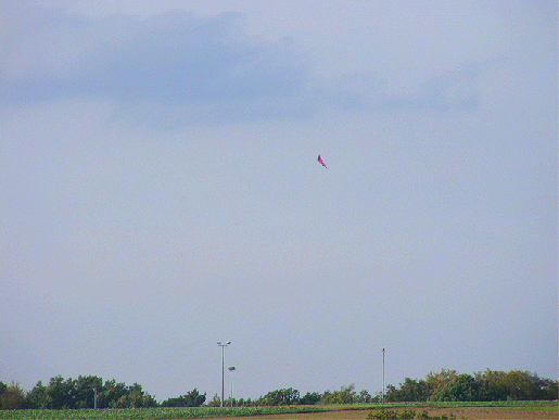 2009-10-adg-Lenkdrachen - Odenwald