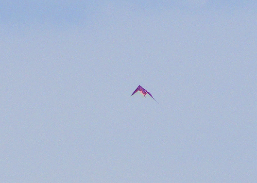 2009-10-adga-Lenkdrachen - Odenwald