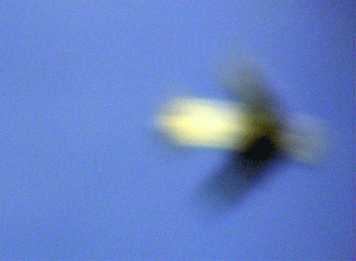 2009-10-adja-u00dcberflieger-Ufoeffekt durch Falschfocusierung
