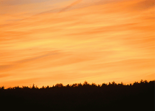 2009-10-adod-Sonnenuntergang - Odenwald