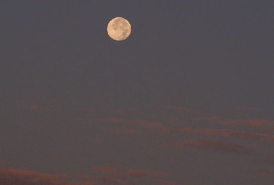 2009-10-bac-Vollmond am Morgenhimmel