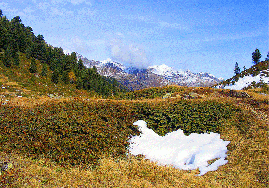 2009-10-drojwyd-Ufoeffekt durch Vogelflug an Wolke - Defereggen-Tirol