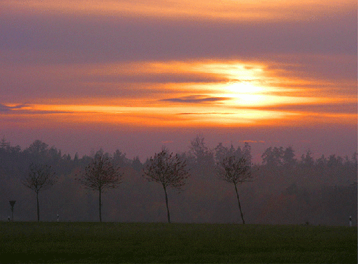 2009-11-ba-Sonnenuntergang bei Vielbrunn-Odw