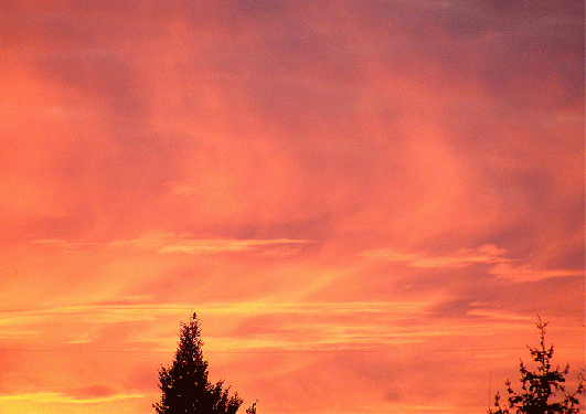 2009-11-cb-Sonnenaufgang über Mannheim