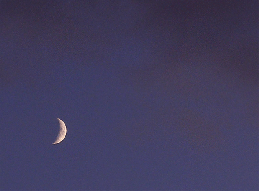 2009-11-fkba-Mondsichel am Abendhimmel