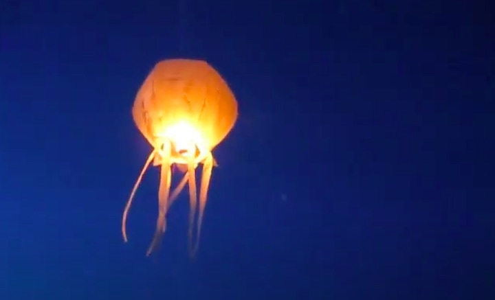 2009-launch-a-paper-lantern-a-1