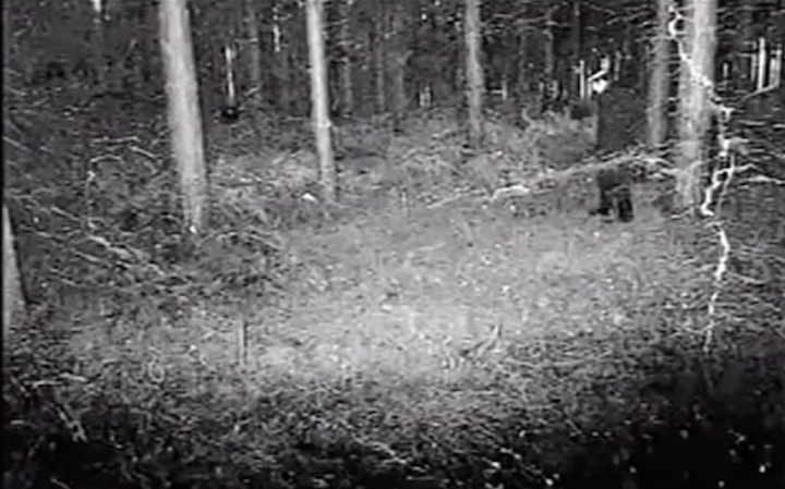 2009-rendlesham-forest-ufo-incident-aa