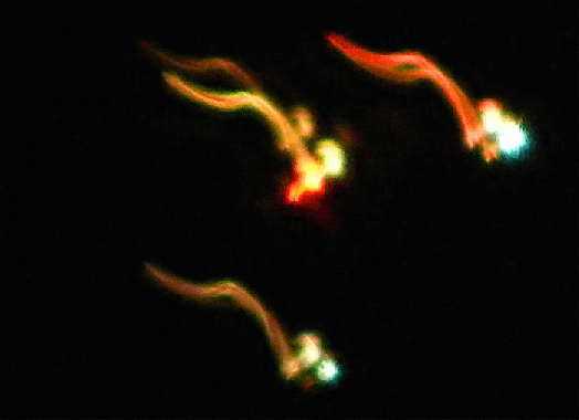 2010-03-f-Nachtaufnahme von u00dcberflieger mit Ufoeffekt (Erinnert an diverse Aufnahmen von Hessdalen)