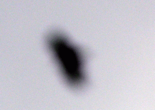 2010-03-gd-Mu00e4usebussard-Ufoeffekt durch Zoom-Unschu00e4rfe bei der Aufnahme