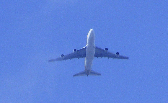 2010-04-bck-Überflieger