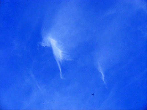2010-04-fba-Federwolken u00fcber Odenwald