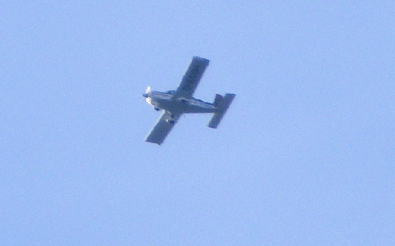 2010-04-fbd-Überflieger