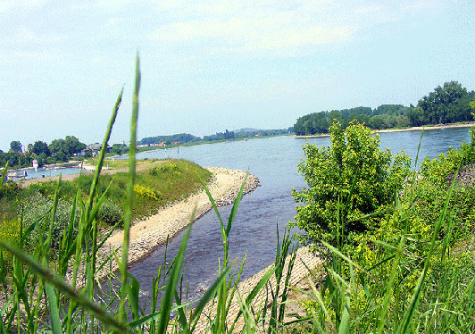 2010-05-la-Rheinufer bei Speyer