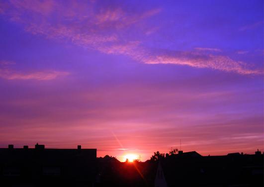 2010-06-dbd-Sonnenuntergang-Mannheim