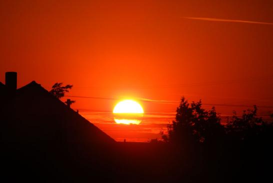 2010-07-dai-Sonnenuntergang-Mannheim