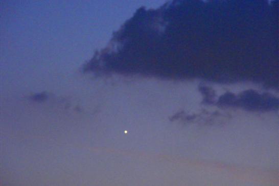 2010-07-djf-Venus