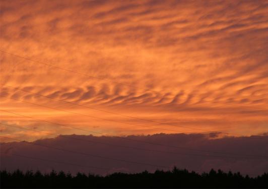 2010-07-fdb-Sonnenuntergang bei Rimhorn - Odenwald