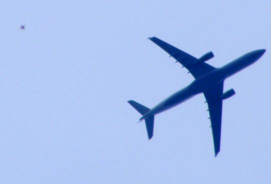 2010-08-bbs-Insekten-Ufoeffekt neben u00dcberflieger