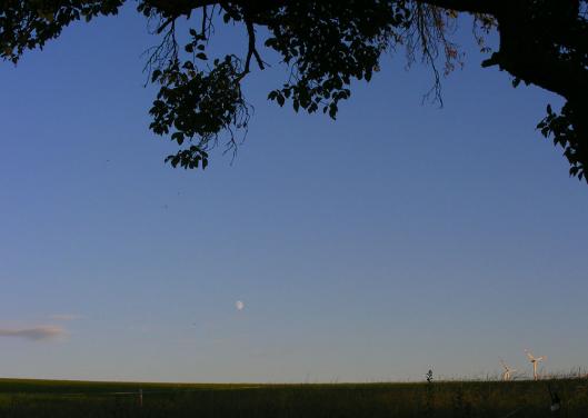 2010-08-dbeb-Mond u00fcber Odenwald