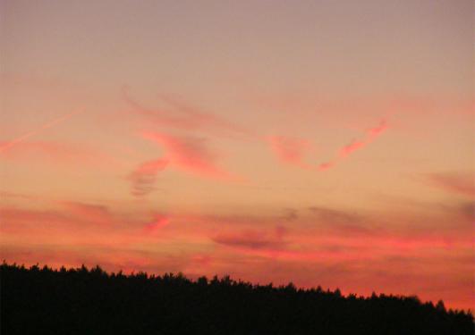 2010-08-dbm-Sonnenuntergang - Odenwald