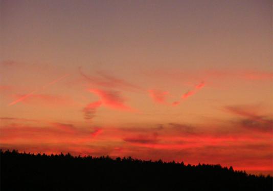 2010-08-dbma-Sonnenuntergang - Odenwald