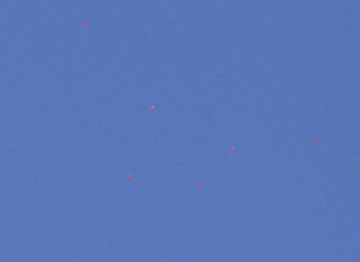 2010-08-dej-Hochzeitsballons