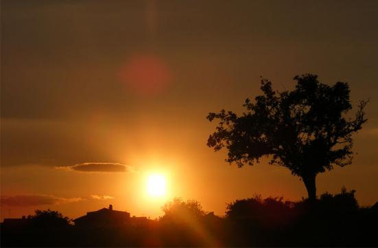 2010-08-di-Sonnenuntergang bei Vielbrunn-Odenwald