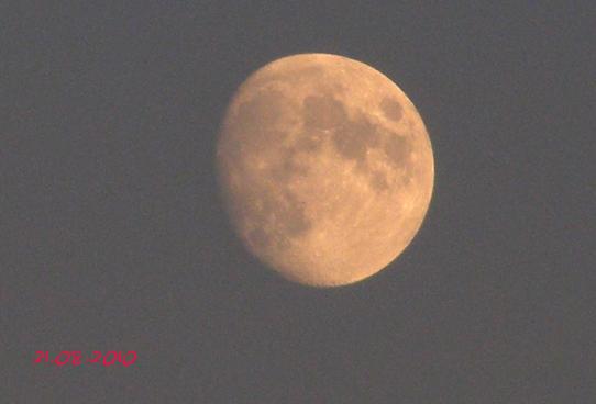 2010-08-dja-Mond