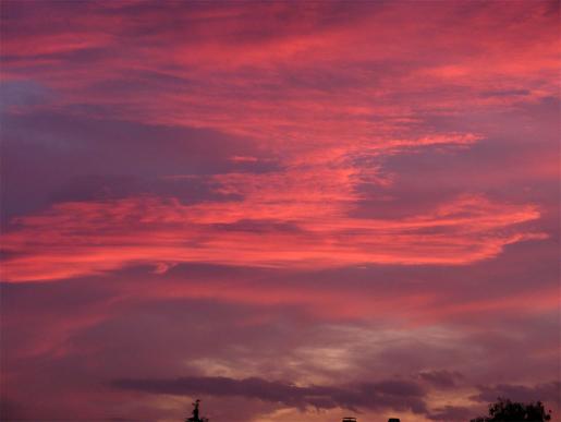 2010-08-dtb-Sonnenuntergang über Mannheim