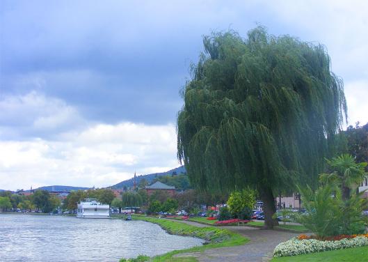 2010-09-edaoa-Miltenberg am Main