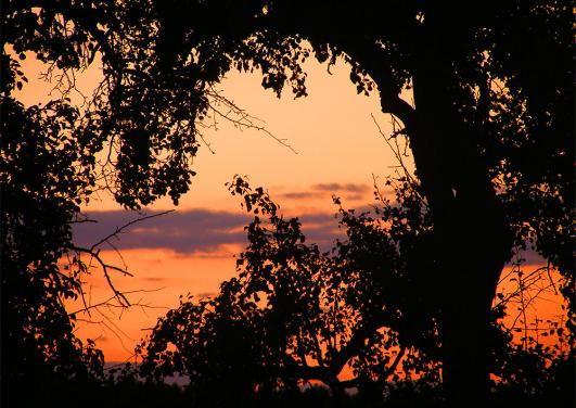 2010-09-eic-Sonnenuntergang - Odenwald