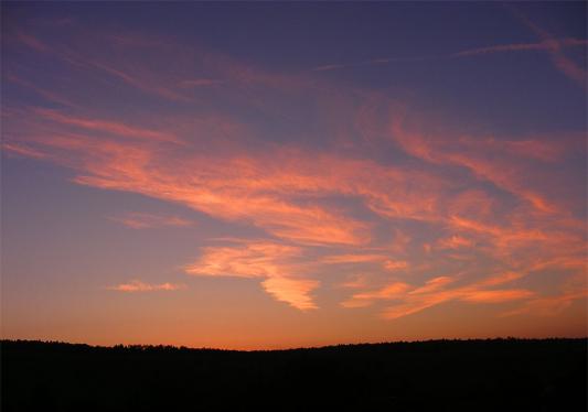 2010-10-cat-Sonnenuntergang - Odenwald